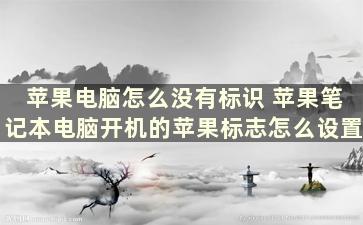 苹果电脑怎么没有标识 苹果笔记本电脑开机的苹果标志怎么设置